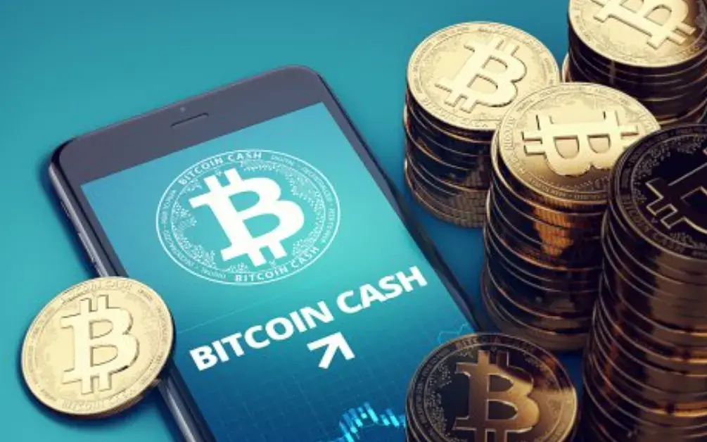 Bitcoin Cash wants to conquer the market with this upgrade