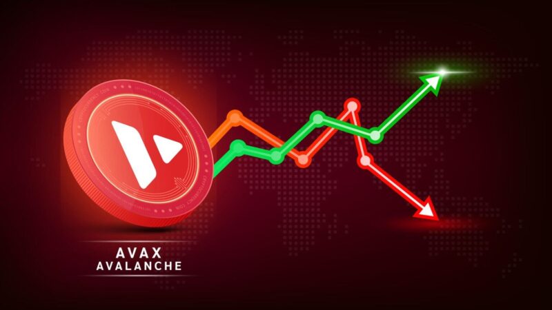 The AVAX bull market has begun